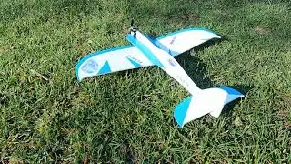 Calypso-Nemesis aus Vector-Board