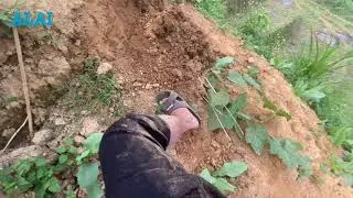 MAN WITHOUT HANDS LIFE