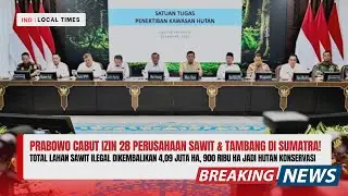 Prabowo Cabut Izin 28 Perusahaan Sawit & Tambang di Sumatra!
