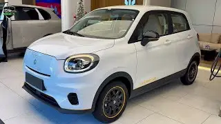 2026 Leabmotor T03-EV,Review interior and exterior 