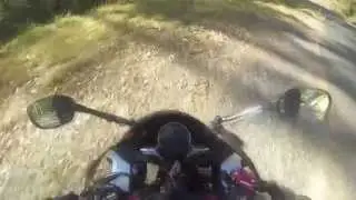 Honda CBR250R CRASH!