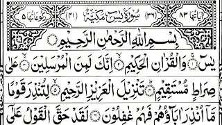 Surah Yaseen Surah Ar Rahman | Best Qur'an Recitation | Surah Yasin Tilawat | With Arabic text (332)