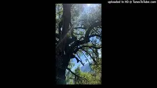 free for nonprofit 444jet studygroup clay10 type beat prod deporablev