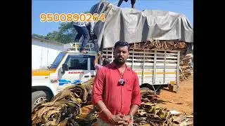 Arecaplate Raw material | Pakkumattai