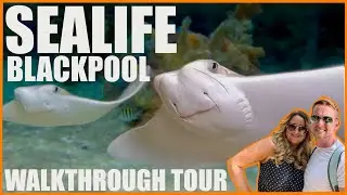 Blackpool SeaLife Center Walkthrough/Tour 🐠 🐟