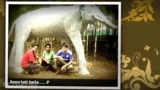 Aladin's Park Ltd Bangladesh Rockzzz with frnds