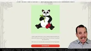 Are Custom NFT Avatars The Future?