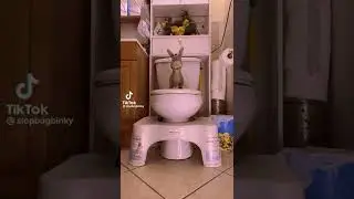 I farted in a poopy almost slipped out #shorts #meme #funny #foryou #quandaledingle
