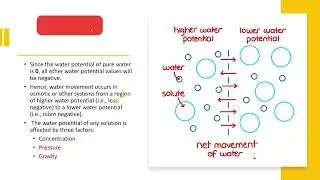 Plant Physiology: Water Relations in Plants | Water potential, Osmotic potential | Plasmolysis