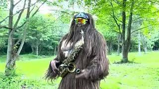 Hotel Room PitBull - Saxsquatch Remix