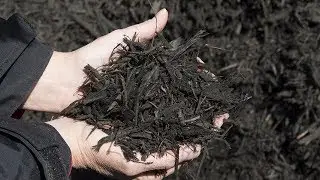 Black Mulch Product Spotlight