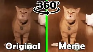 I Go Meow Original Vs I Go Meow Meme 360&ordm;