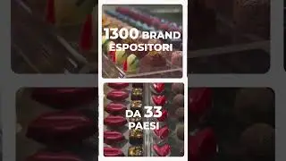 SIGEP World 2025 - Highlights from Instagram