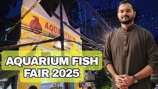 AQUARIUM FISH FAIR-2025 😍চলুন ঘুরে দেখি এবারের মেলায় আপনাদের জন্য কি কি থাকছে ✨