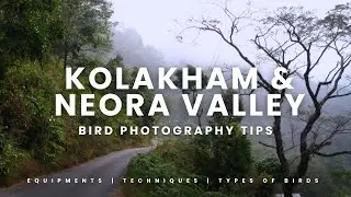 Bird photography tips | Kolakham & Neora Valley forest | Birding at Neora Valley | Music of Travel
