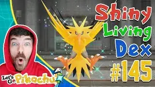 INSANE SHINY ZAPDOS LIVE CATCH REACTION! 2,467 Soft Resets! Pokemon Let's Go Shiny Living Dex #145