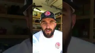 How to start a pool cleaning business