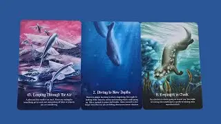 DAILY TAROT READING - 21 JANUARY 2026- MAKE A BIG SPLASH, DIVE DEEP & OBSERVE THE DETAILS AROUND YOU