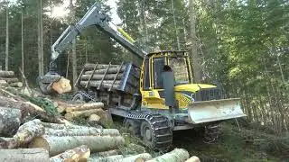Debardage avec un Porteur Ecolog  594  dans une pente