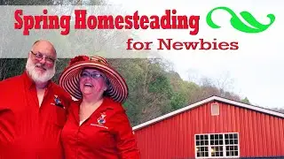 Newbie Homesteaders - Spring Farm Tips to Prep | #15 Friends Drift Inn Breakfast Chat