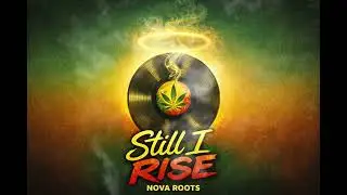 Nova Roots &ndash; Still I Rise 🌿 Reggae Anthem of Hope, Peace & Inner Strength