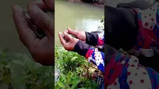 sedikit hasilnya kawan  #mancing #fishing #mancingmania