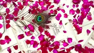 Wedding invitation shoot, cinematic wedding invitation video taj films hindaun City 