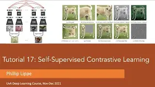 Tutorial 17: Self Supervised Contrastive Learning with SimCLR (Part 1)