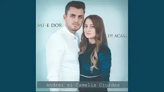 Cine-I ca el