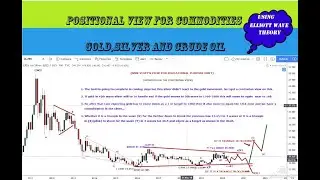 Gold, silver and crude oil in positional view