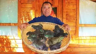 Kaynar Baharatlı Sıcak Pot ile Bullfrog, Karım Ger&ccedil;ekten Seviyor | Kırsal Gurme Amca
