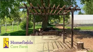 Time Lapse: Arbor construction technique