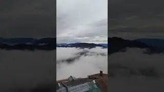Shimla latest video | shimla Shorts | Shimla After Rain #shimla #shimlasnowfall #nature