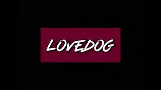 Labrador Welpe - Paula - Foxred #1