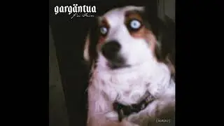 Gargäntua - C'est Beau Les Filles