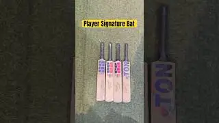 SS Mini Bat Player Signature ✍️ #cricket #batreview #cricketequipment #cricketgear #cricketbat #wood