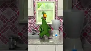 Talking Pierre the Parrot  