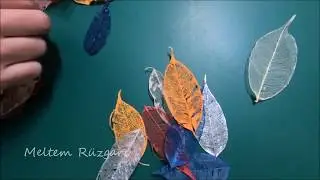 Çamaşır sodası ile yaprak damarlarının çıkarılması. DIY
