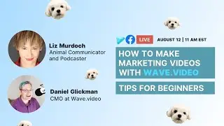 How to Make Marketing Videos with Wave.video: Tips For Beginners