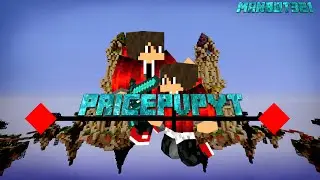 PRICEPVPYT CHANNEL SPEED ART W/ Manbot321