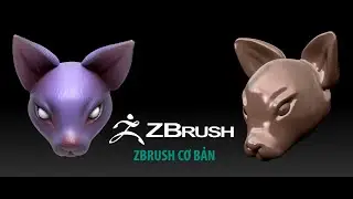 Zbrush | Cơ bản dựng hình bằng Zbrush cho người mới bắt đầu  | Zbrush modeling basic