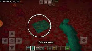 How to make a twisted vine farm