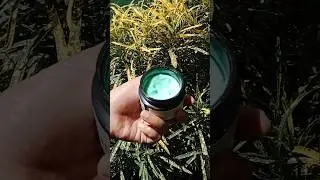 GREEN M🟢ISTURIZER | Good Vibes Green Tea Revitalising Moisturizer | #shorts #youtubeshorts #skincare