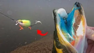 Pike Fishing After a Snowstorm! - Winter Lure Fishing
