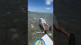 Поймать акулу голыми руками