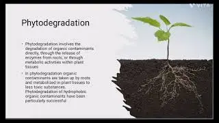 BIOREMEDIATION DEFINITION AND TYPES/BIOTECHNOLOGY/BIOREMEDIATION