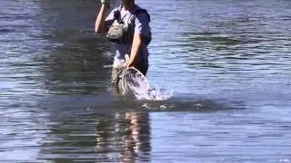 In the Loop - Gordon Vanderpool - Nantahala River