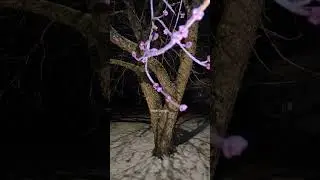 Злится на синоптика