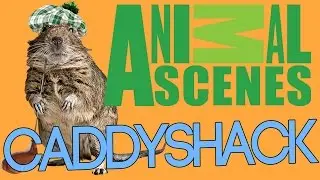 Animal Scenes Episode 2 - Caddyshack