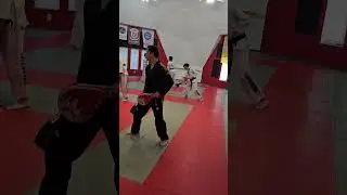 Angela's 1st Star Tip Test - 4th Kick Combo Practice - Low Spin Kick